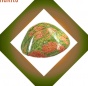 Unakite