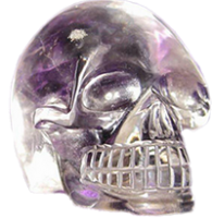 Legend of the Crystal Skulls (Video)