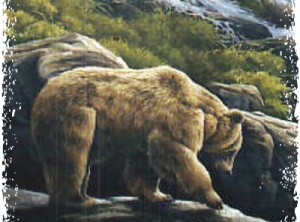Spirit of Grizzly Bear