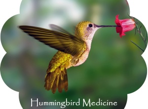 Hummingbird Medicine