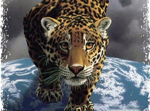 Spirit of Jaguar