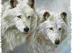 Spirit of Arctic Wolf