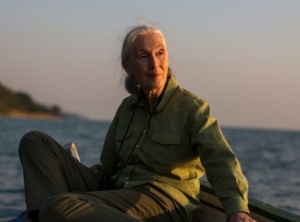 Jane Goodall’s Prayer For All The Creatures Of The Earth