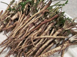 Cancer Cells Decompose After Several Days, With The Use Of This Herb