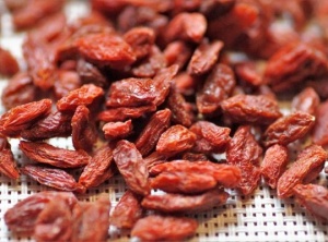 What are Goji Berries?