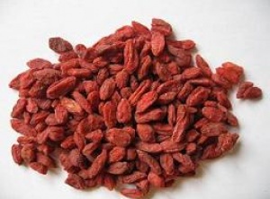 Health Benefits of Goji