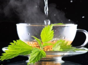 29 Nettle Tea Benefits: Sipping On Nettle Tea For Better Health