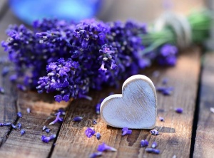 Lavender Oil has Potent Antifungal Effect