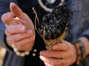 3 Shamanic Ceremonial Herbs for Creating Sacred Space