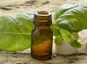 12 Sweet Basil Oil Fixes That Really Work