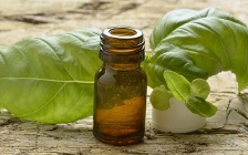 12 Sweet Basil Oil Fixes That Really Work