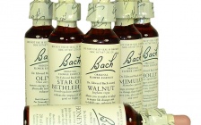 The Original 38 Bach Flower Essences