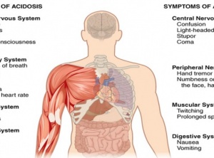 When Your Body Is Too Acidic, Learn To Quickly Alkalize It!