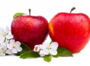 Numerous Studies Show how Apples Can Prevent Cancer, Defeat Cancerous Tumors