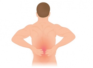 7 Stretches To Help Eliminate Back Pain