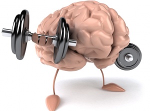 Study Finds Muscle and Strength Can Be Maintained Using Just Your Mind