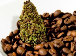 Pot-infused coffee makes debut in Washington state