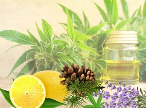 The Unique Benefits of CBD-Infused Terpene Oil 