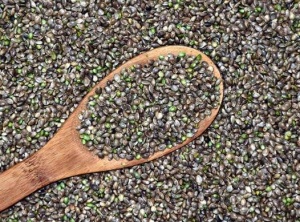 The Benefits of Adding Hemp Seeds To Your Daily Diet