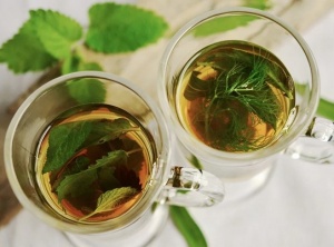 5 Herbal Medicines That Can Help Your Mental Health