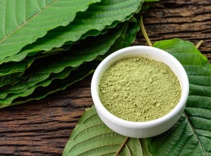 5 Best Kratom Strains And Their Uses