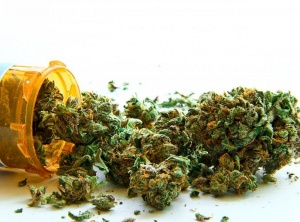 Medical Marijuana Users Are Quitting Prescription Drugs in Huge Numbers