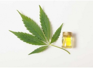 The 7 Main Benefits Of Using Hemp Oil