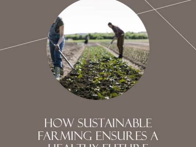 How Sustainable Farming Ensures a Healthy Future