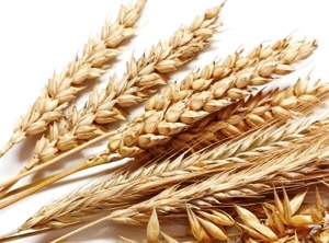 5 Sources of Hidden Gluten in Your Diet