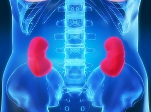 7 Reasons To Do A Kidney Cleanse And What To Juice And Eat For A Good Flush