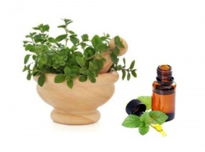 Oregano Oil Benefits