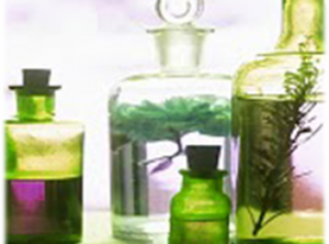 Easily Make Your Own Herbal Tinctures and Save Money
