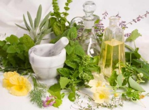 17 of The Most Underrated Medicinal Plants In The World