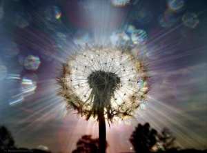 Spiritual Understanding Affirmations