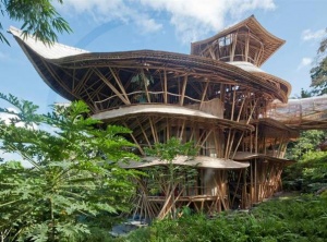 Meet the Woman Building Stunning Sustainable Homes from Bamboo