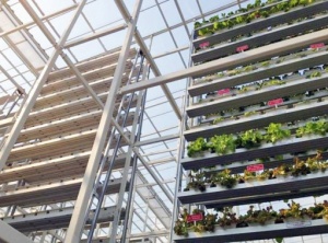 The World's First Commercial Vertical Farm Opens in Singapore