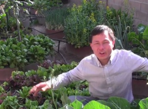 Vegetable Gardening is Easy. How to Have a Green Thumb in a Minute