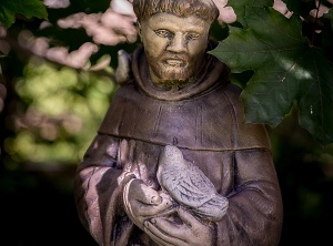 The Prayer Of St. Francis
