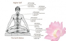 The Higher Dimensional Chakras