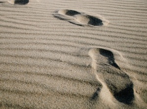 Walking Meditation