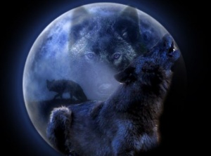 January Full Wolf Moon