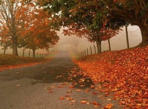 Seven Steps of Walking the Red Road